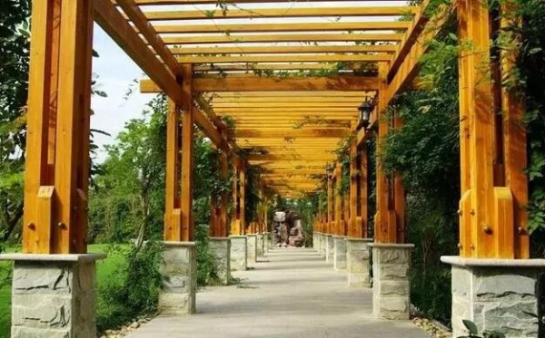 花季传媒APP安装常见的花季传媒网站花架