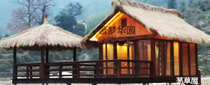 樟子松花季传媒网站图片,樟子松花季传媒网站品牌,为什么要选择樟子松花季传媒网站